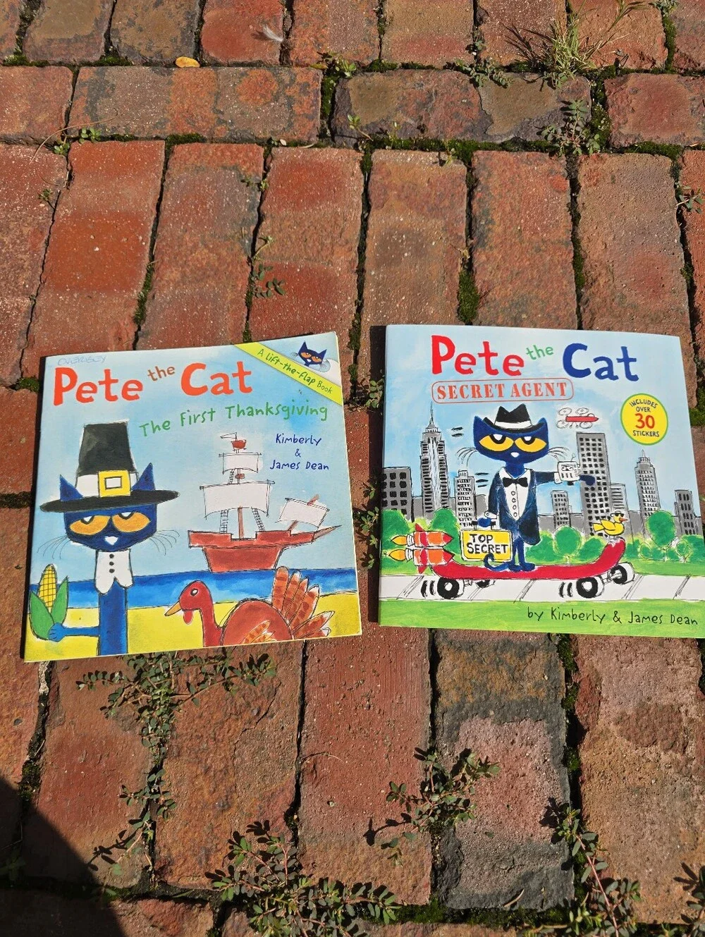 Pete the Cat Kids Book Set Learn To Read Lift The Flap Sticker Books Rhyme